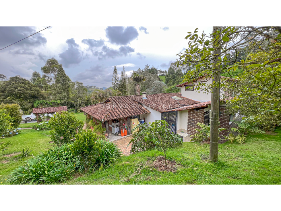Finca Independiente Vereda Amapola