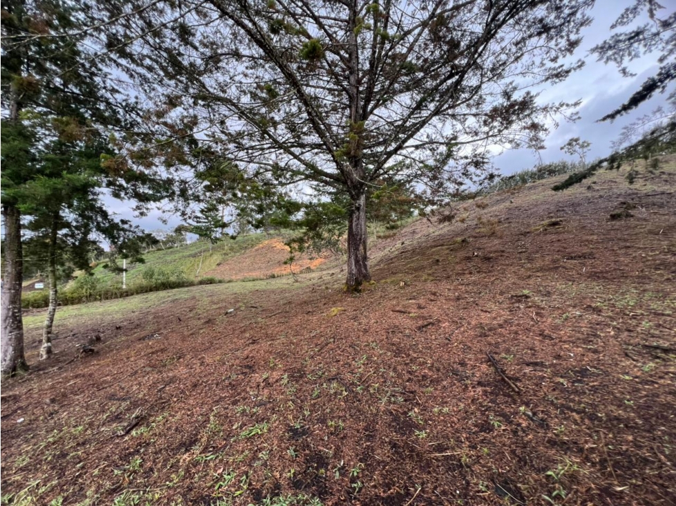 EN VENTA LOTE EN PARCELACIÓN VÍA SAN ANTONIO LA CEJA — foto 6