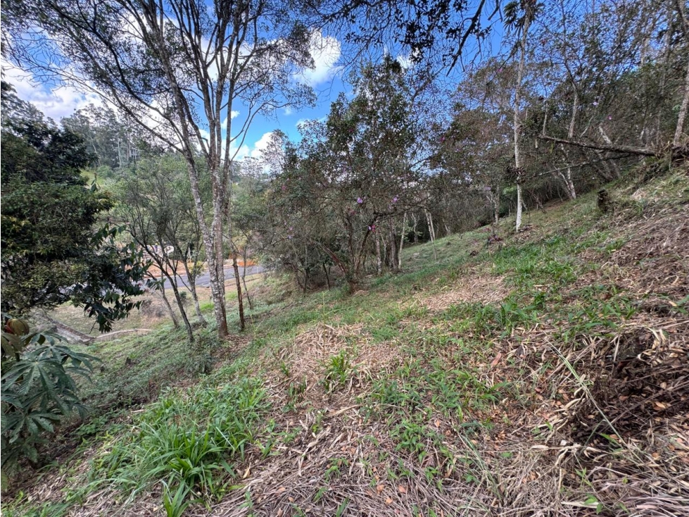 LOTE EN UNIDAD CERRADA VIA SAN ANTONIO DE PEREIRA - LA CEJA — foto 5