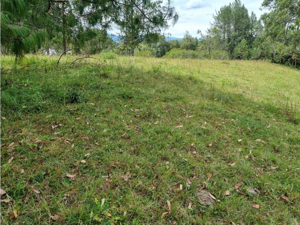 Venta de Lote Distrito Equino Pontezuela