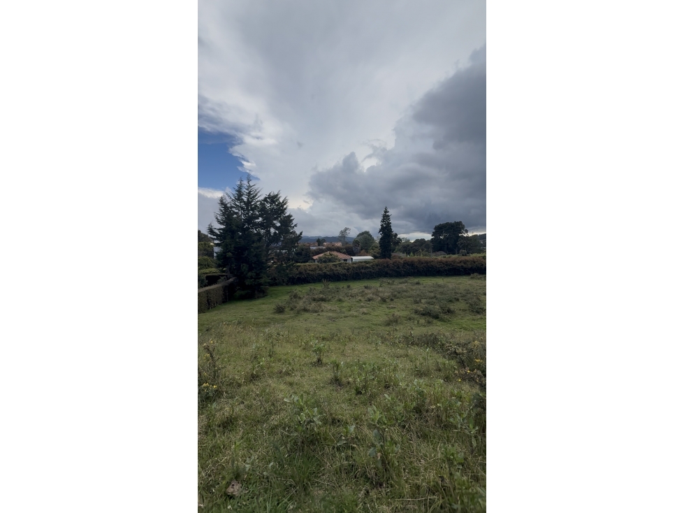 VENTA DE LOTE EN ALTO DE PALMAS — foto 2