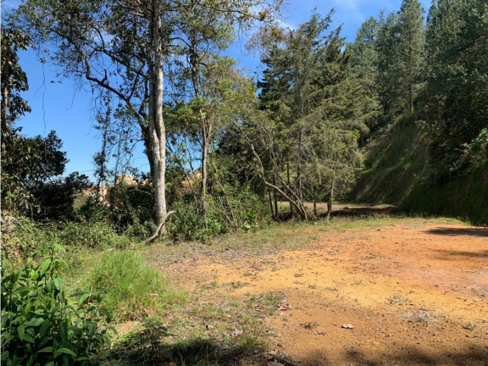Lote en Venta Parcelación La Ceja - 3