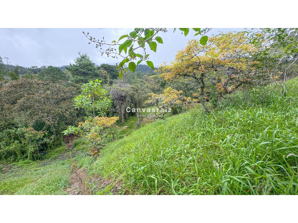 Venta de Lote en Parcelación Vía San Antonio - La Ceja — foto 3