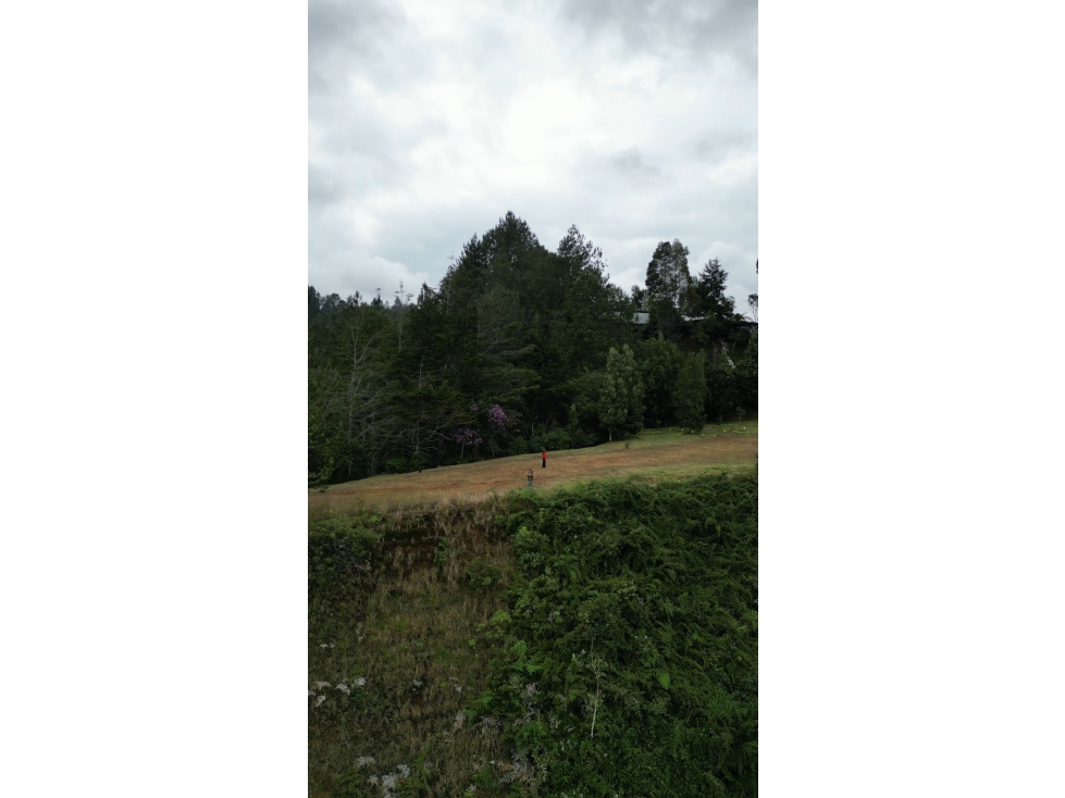LOTE EN PARCELACIÓN CON VISTA HACIA BOSQUE, EL RETIRO — foto 3