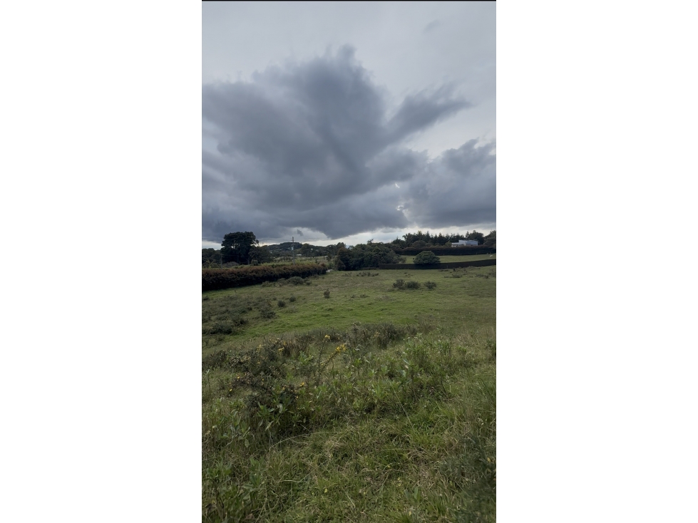 VENTA DE LOTE EN ALTO DE PALMAS — foto 3