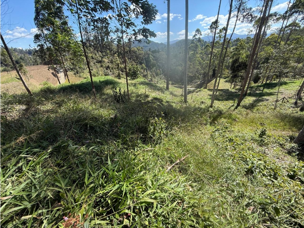 LOTE EN UNIDAD CERRADA VÍA DON DIEGO LA CEJA - 3