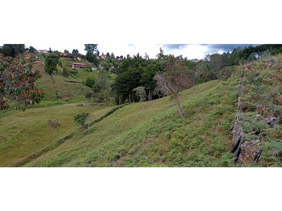 Finca Independiente Vereda Bella Vista Guarne — foto 4