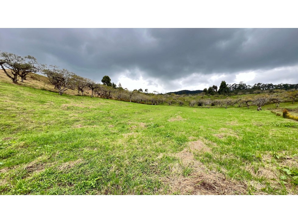 Lote en parcelación vía San Antonio - La Ceja — foto 4