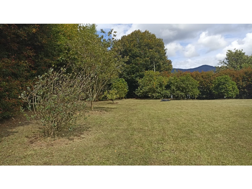 Lote en Parcelación Vía San Antonio de Pereira - La Ceja - 4