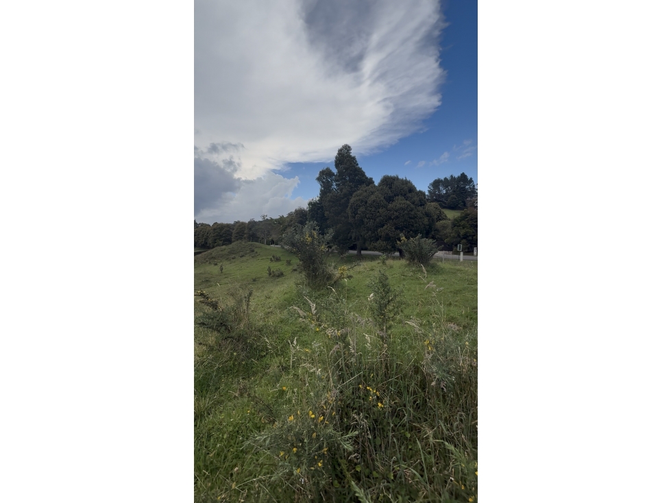 VENTA DE LOTE EN ALTO DE PALMAS — foto 4