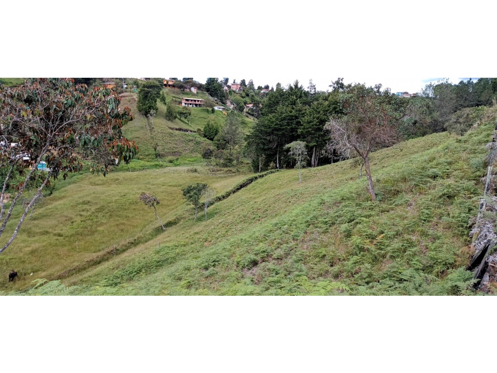 Finca Independiente Vereda Bella Vista Guarne — foto 5
