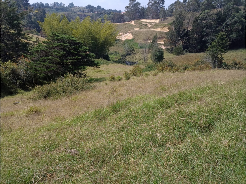Venta de Lote en Parcelación San Vicente — foto 5