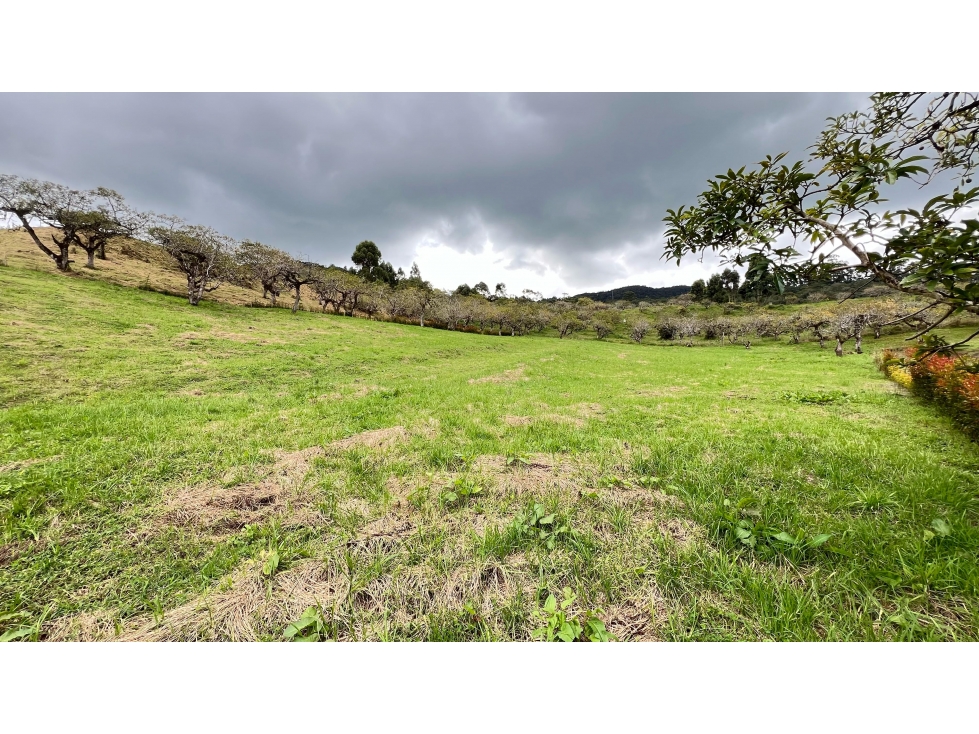 Lote en parcelación vía San Antonio - La Ceja — foto 5