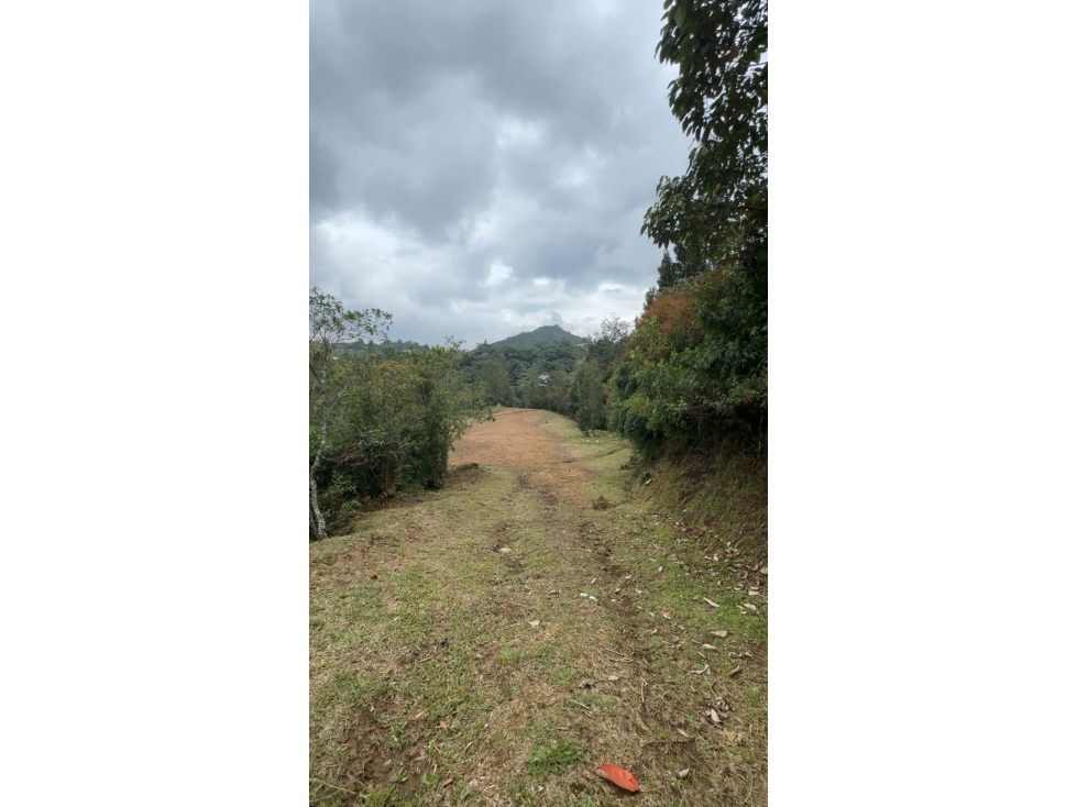 LOTE EN PARCELACIÓN CON VISTA HACIA BOSQUE, EL RETIRO — foto 5