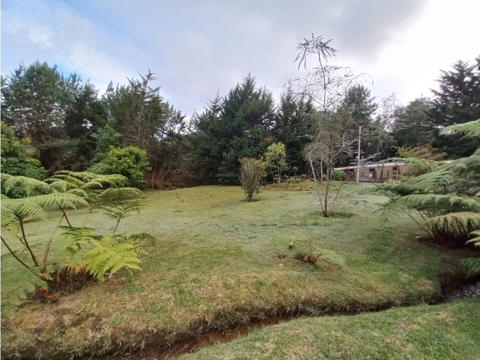 Finca independiente en el Alto de Las Palmas — foto 5