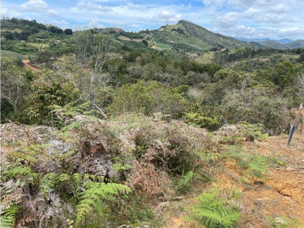 Lote en Parcelación San Vicente — foto 6