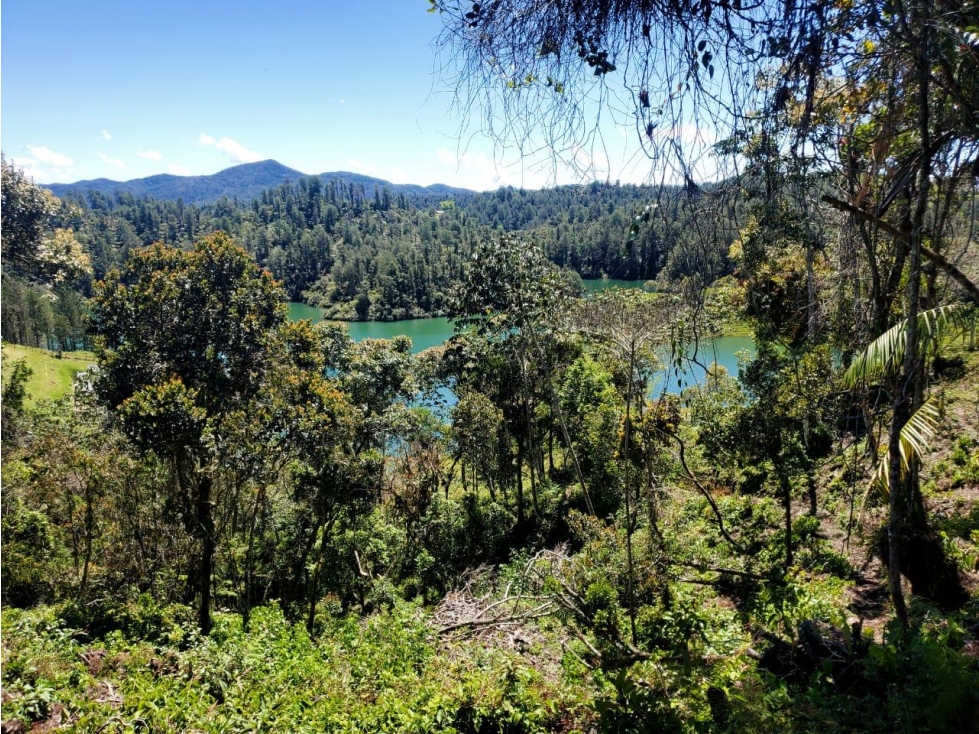 Lote con Acceso al Embalse El Peñol Sector El Marial - 6
