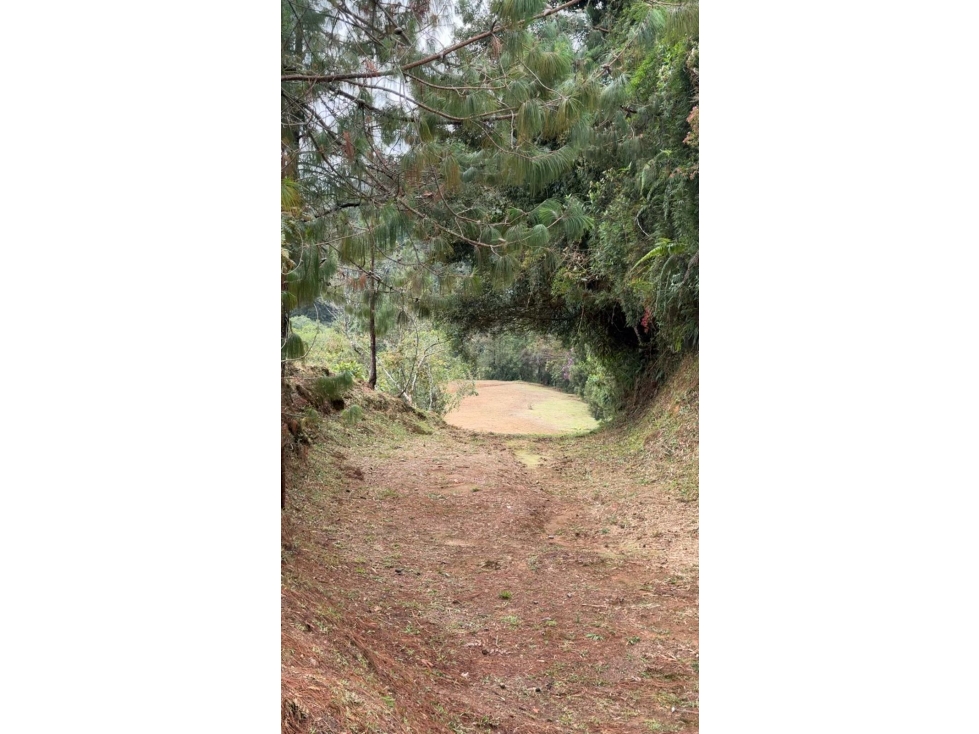 LOTE EN PARCELACIÓN CON VISTA HACIA BOSQUE, EL RETIRO — foto 6