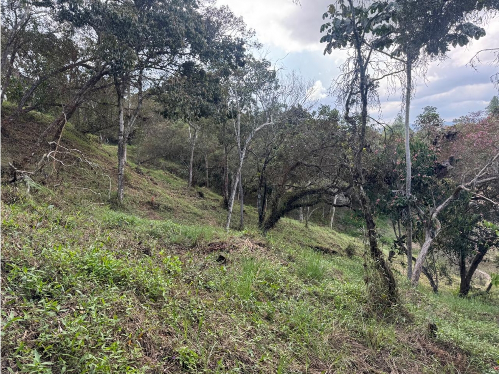 LOTE EN UNIDAD CERRADA VÍA SAN ANTONIO - LA CEJA — foto 6