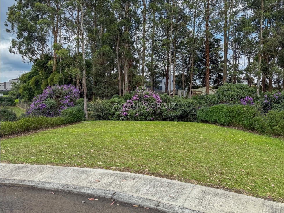 Lote Urbano en Condominio Campestre Llanogrande — foto 6