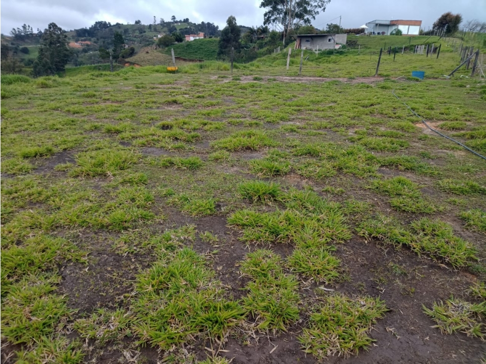 Venta de Lotes Independientes en El Santuario