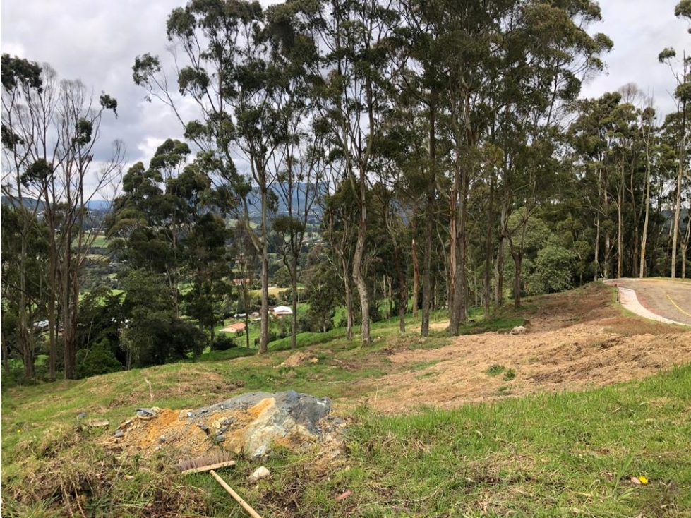 Venta de Lote en Unidad Cerrada en el Alto de Palmas — foto 3