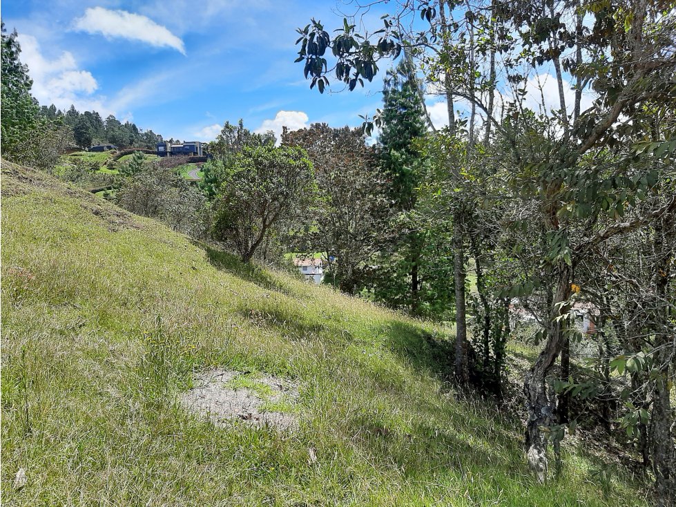 Venta Lote en el alto de las Palmas - 3