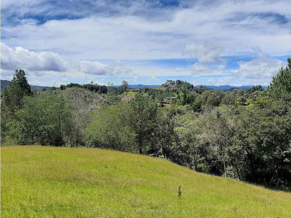 Venta Lote en el alto de las Palmas - 1