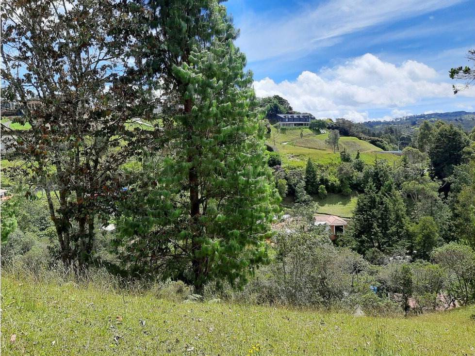 Venta Lote en el alto de las Palmas - 1