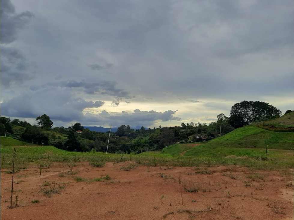Venta de lote en el Carmen de Viboral