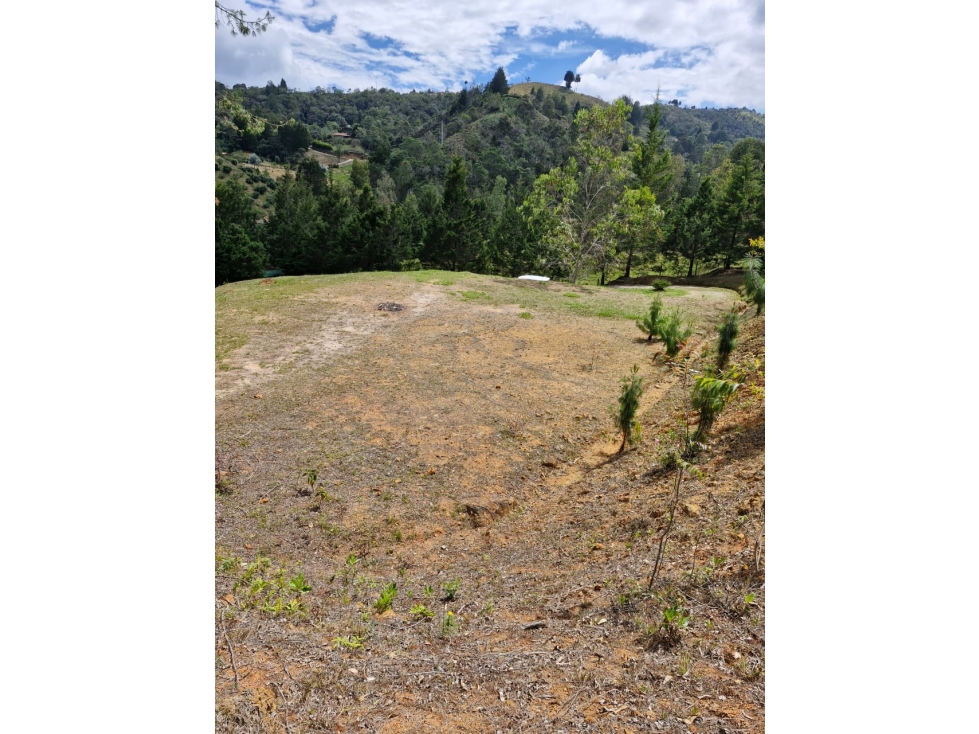 Lote en Venta con Bosque y dos Explanaciones — foto 2
