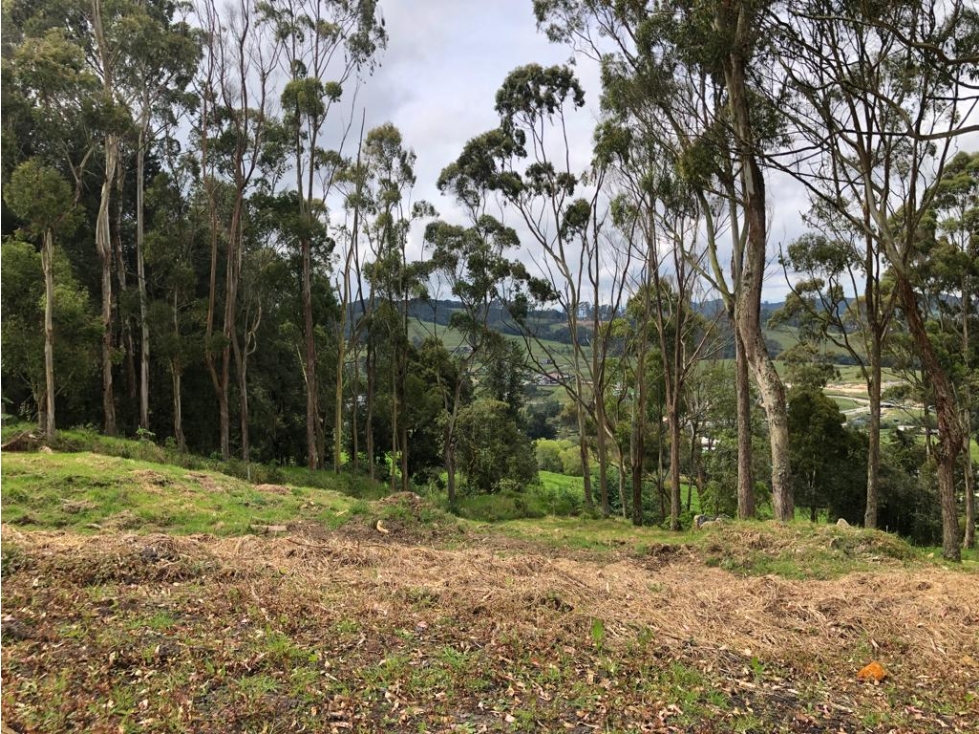 Venta de Lote en Unidad Cerrada en el Alto de Palmas — foto 5