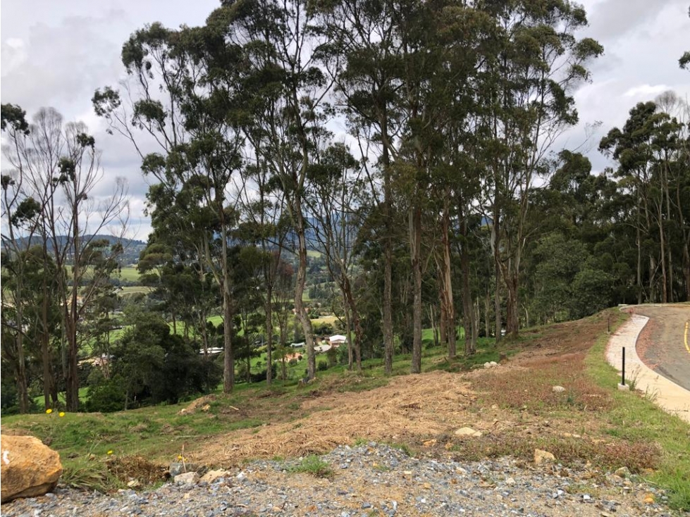 Venta de Lote en Unidad Cerrada en el Alto de Palmas — foto 6