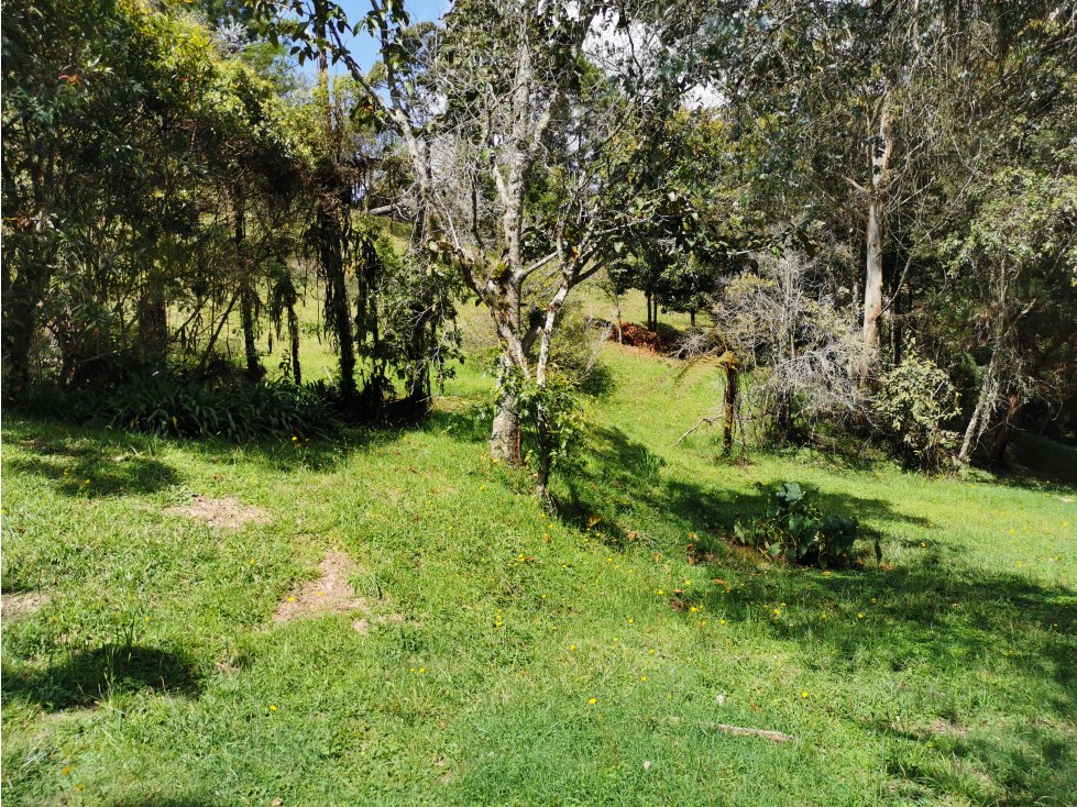 Venta de lote en el alto de las Palmas - 1