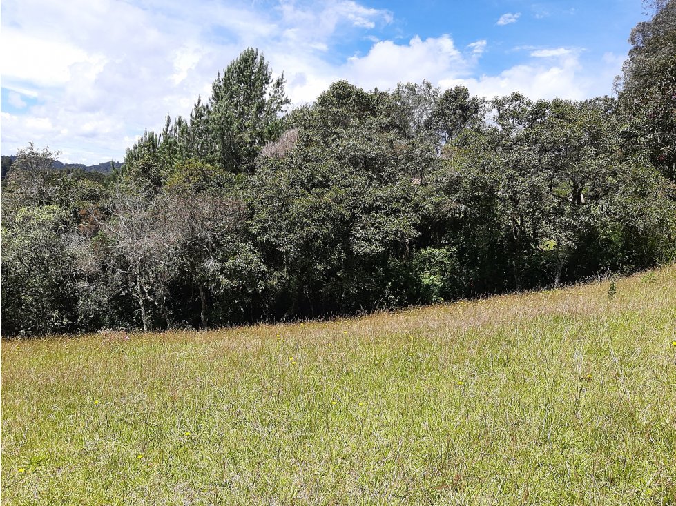 Venta Lote en el alto de las Palmas - 1