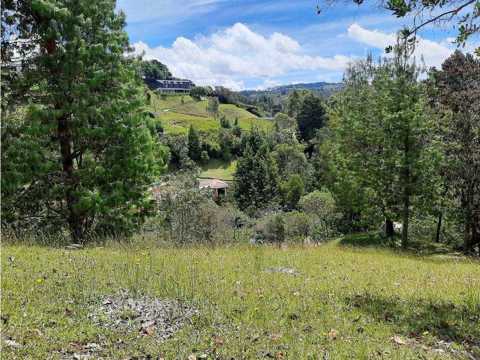 Venta Lote en el alto de las Palmas - 2