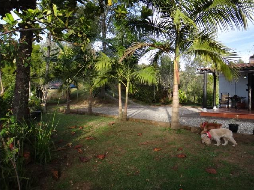 Venta de Finca en Rionegro - 2