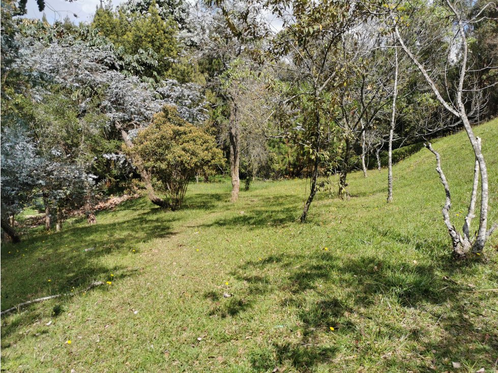 Venta de lote en el alto de las Palmas - 2