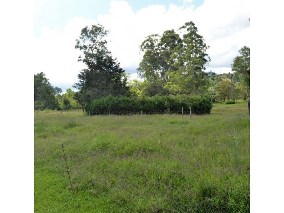 Venta Lote Industrial Guarne — foto 3