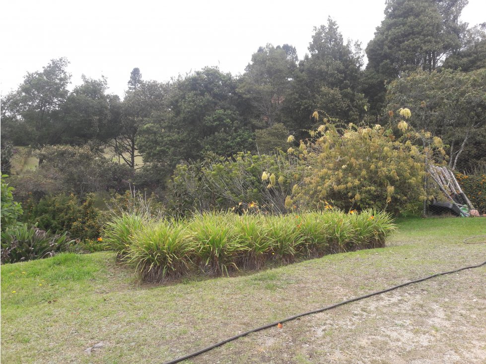 Venta de casa campestre en el Alto de las Palmas — foto 5
