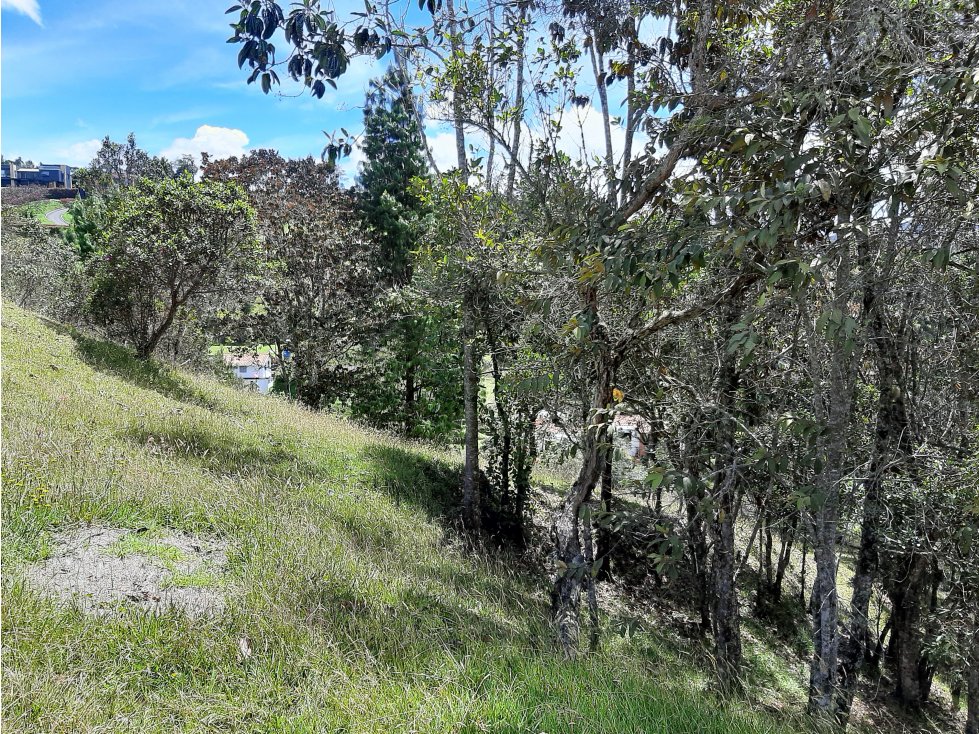 Venta Lote en el alto de las Palmas - 4