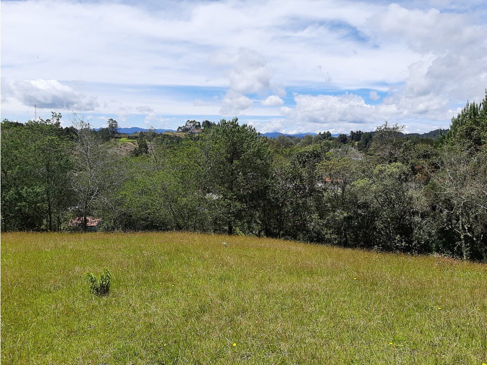 Venta Lote en el alto de las Palmas - 3