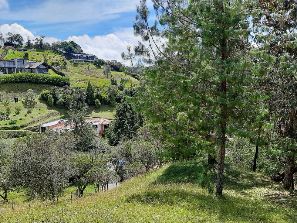Venta Lote en el alto de las Palmas - 3