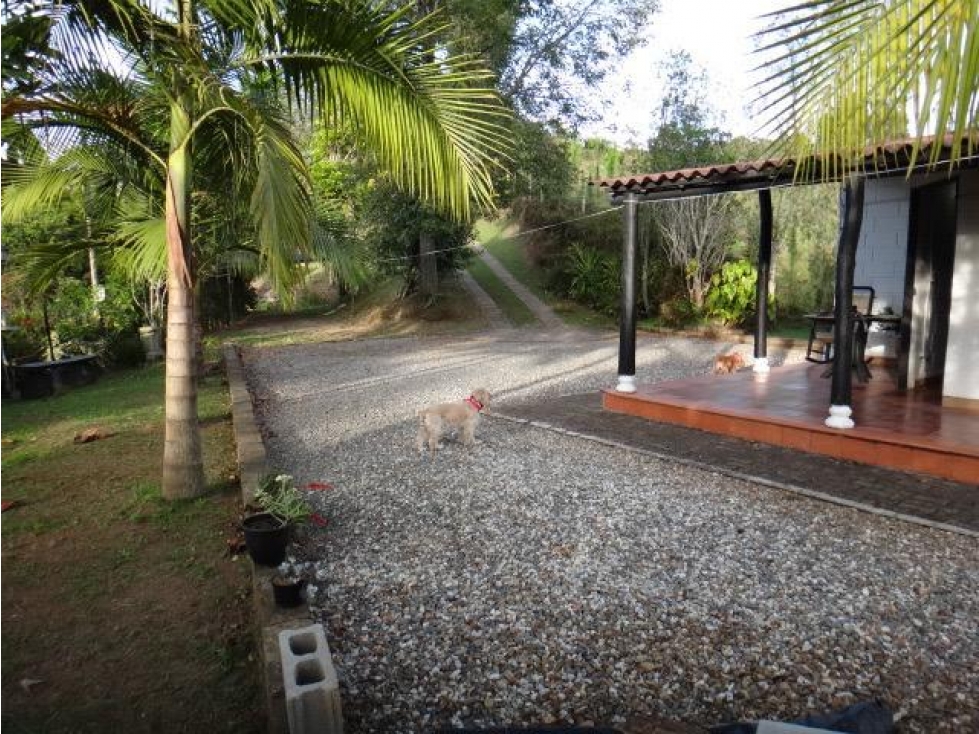Venta de Finca en Rionegro - 3