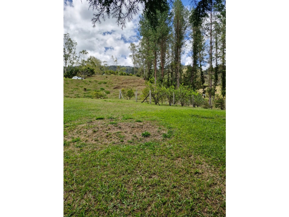 Lote en Venta con Bosque y dos Explanaciones — foto 4