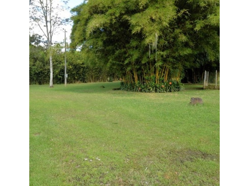 Venta Lote Industrial Guarne — foto 4