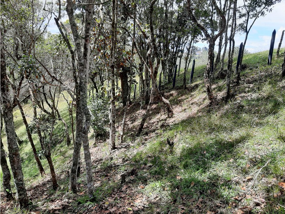 Venta Lote en el alto de las Palmas - 5