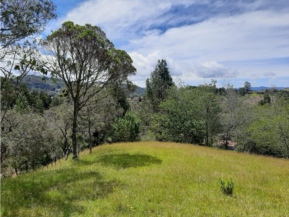 Venta Lote en el alto de las Palmas - 4