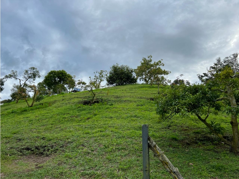 Venta Finca en el Carmen de Viboral sector Aguas Claras — foto 4