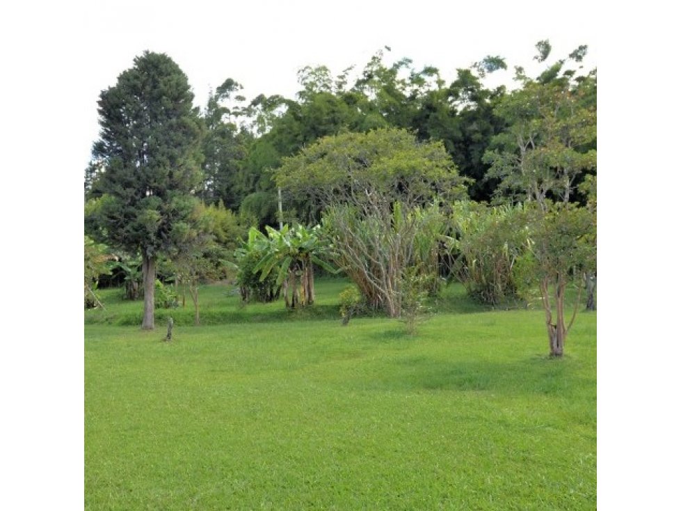 Venta Lote Industrial Guarne — foto 5